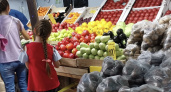 В Нижегородской области предотвратили ввоз 40 тонн смертельно опасного овоща