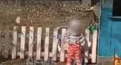 Скандал в одном из детсадов Нижегородской области: двухлетнего ребенка повесили на забор