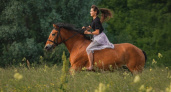 В Дзержинске отметят День лошади с новой шоу-программой и развлечениями