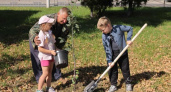 В Дзержинске высадили новые деревья и кустарники в рамках акции по озеленению