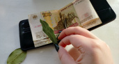 Ароматный лист постоянно храню в кошельке: вот как это работает – поразительно, но факт