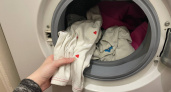 Что происходит с бельем, забытым в стиральной машине - важно знать