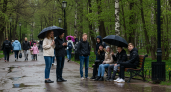 Прогноз на 25 апреля: кратковременные дожди и тепло до +20°С