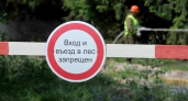 В Нижегородской области введен особый противопожарный режим