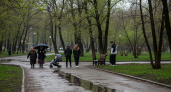 Облачная погода с небольшим дождем и порывистым ветром ожидается 29 апреля