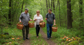 Опытные грибники берут с запасом: эти редкие грибы превосходят обычные по всем показателям