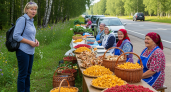 Туриста из Германии удивила торговля грибами и ягодами на обочинах дорог в России
