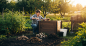 Три ложки на кучу — даже ветки и кости перегниют: секрет быстрого компоста без хлопот для пуховой земли