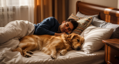 60% владельцев делают это каждую ночь: ветеринары назвали скрытую опасность совместного сна с питомцами