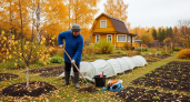Залог богатого урожая: 5 вещей, которые нужно успеть сделать на даче до зимы