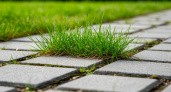 Дачники годами мучились с травой между плитками, пока не узнали об этом копеечном растворе