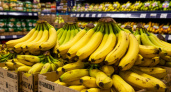 Работники Магнита раскрыли, что делать с пакетиками из банановых ящиков — ваши овощи будут свежими на неделю дольше