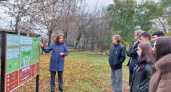 В Дзержинске дети сравнивают свой рост с животными на новой экологической тропе