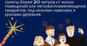 МЧС предупреждает: как не провести новогодние каникулы в травмпункте из-за фейерверков