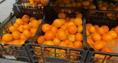 Торговцы скрывают этот секрет: чем отличаются сладкие мандарины от кислых на вид
