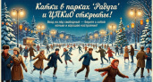 В Дзержинске открыли бесплатные катки в двух парках - коньки приносить с собой