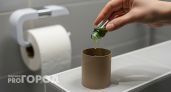 Втулка от туалетной бумаги превратит ваш санузел в ароматный оазис за копейки и на месяцы вперед