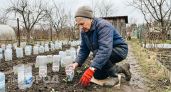 Всю зиму не выбрасываю пластиковые бутылки и весной делаю из них бесплатные аналоги дорогих садовых инструментов
