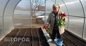 Беру самые дешёвые семена редиса и выращиваю корнеплоды размером с яйцо — сладкие и без пустот внутри