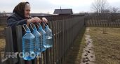 Оставила на заборе пустую пластиковую бутылку: теперь на моем участке больше нет назойливых гостей