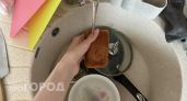 Срочно уберите губку с кухни: она грязнее унитаза, поэтому европейцы давно заменили ее на это средство