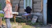 Забыла про вредителей на грядках: готовлю этот простой настой из того, что раньше просто выбрасывала в мусор