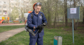 В Дзержинске обработают четыре парка от клещей 2 и 3 мая