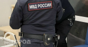 Копия сайта лишила фирму в Дзержинске 6 миллионов