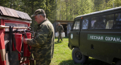 Нижегородская область прошла федеральную проверку готовности к пожароопасному сезону