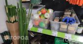Хватит мучиться с палками для кустов: в Фикс Прайсе нашлись умные подпорки, с которыми сад выглядит идеально