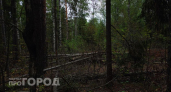 В Нижегородской области зафиксировали первый в этом сезоне лесной пожар