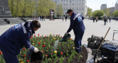 У Вечного огня в Дзержинске расцвели тысячи тюльпанов сорта «Парад»