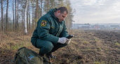 В Нижегородской области с 10 по 12 мая ожидается высокая пожароопасность лесов
