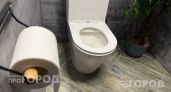 Ваш кишечник страдает из-за привычной позы: измените положение тела в туалете и забудьте о проблемах навсегда