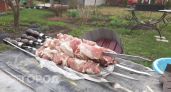Выбросьте свинину из корзины: врачи назвали доступное мясо для шашлыка, которое защитит сердце и сосуды