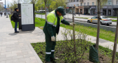 В Нижегородской области с 13 мая прогнозируется высокая пожароопасность лесов