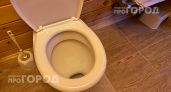 Перестаньте смывать воду с открытой крышкой: вы рискуете здоровьем всей семьи из-за невидимых бактерий