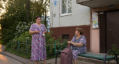 "Трава по пояс" в Дзержинске: жители требуют регулярного покоса от УК