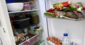 Перестаньте переплачивать за костную муку под видом мяса: как вычислить опасный состав по одной фразе на этикетке