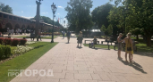 Синоптики предупредили жителей Нижегородской области об аномальной жаре