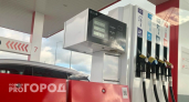 Бензин в Нижегородской области подорожал почти на 4,6% с начала 2026 года