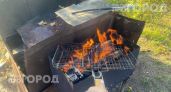Забудьте про покупную химию: пара простых предметов из вашего дома заставит угли пылать уже через пять минут