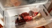 Выкиньте это из морозилки прямо сейчас: 5 привычных продуктов, которые превращаются в полную гадость