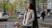 Почему собака лезет «целоваться»: любовь, привычка или тревожный сигнал - зоопсихологи раскрыли причину