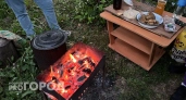 В Дзержинске запретили посещать леса и делать шашлыки