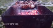 Больше не выбрасывайте этот кухонный отход: именно он превращает самое жесткое мясо в нежнейший шашлык
