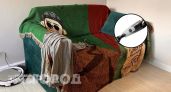 Забыла про пылесос за копейки из Чижика: теперь диваны и углы сияют чистотой всего за пару минут уборки