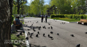 Нижегородцев предупредили о мошенниках, продающих пересдачу ЕГЭ