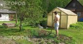 Проведите этот тест с полотенцем прямо сейчас: так вы за одну минуту узнаете о скрытых клещах на даче