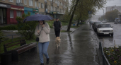 Сильные дожди накроют Нижегородскую область: МЧС выпустило срочное предупреждение